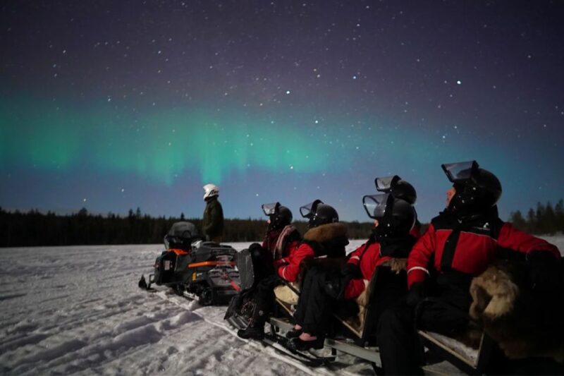 Rovaniemi: Northern Lights Sleigh Ride - Rovaniemi’s Guided Snowmobile Sleigh Ride in the Arctic Circle