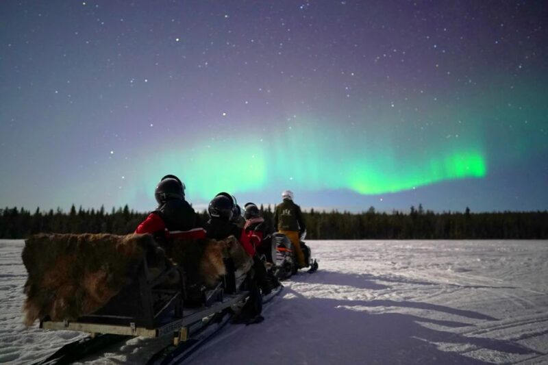 Rovaniemi: Northern Lights Sleigh Ride - Weather and Aurora Sightings: What to Expect