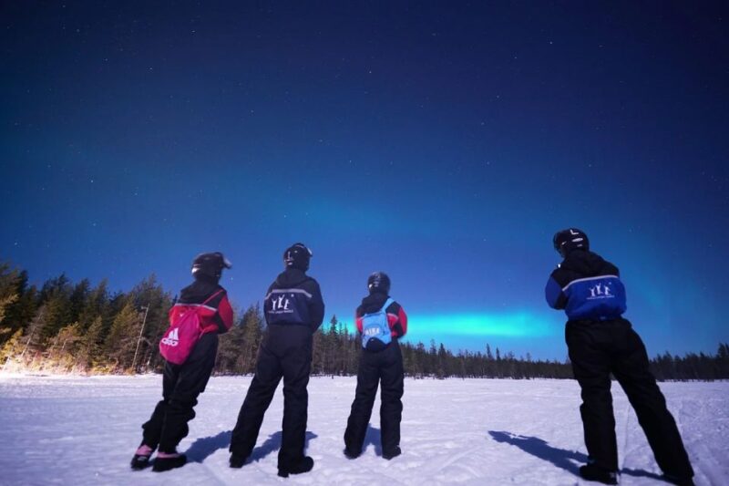 Rovaniemi: Northern Lights Sleigh Ride - Who Will Appreciate This Tour Most?