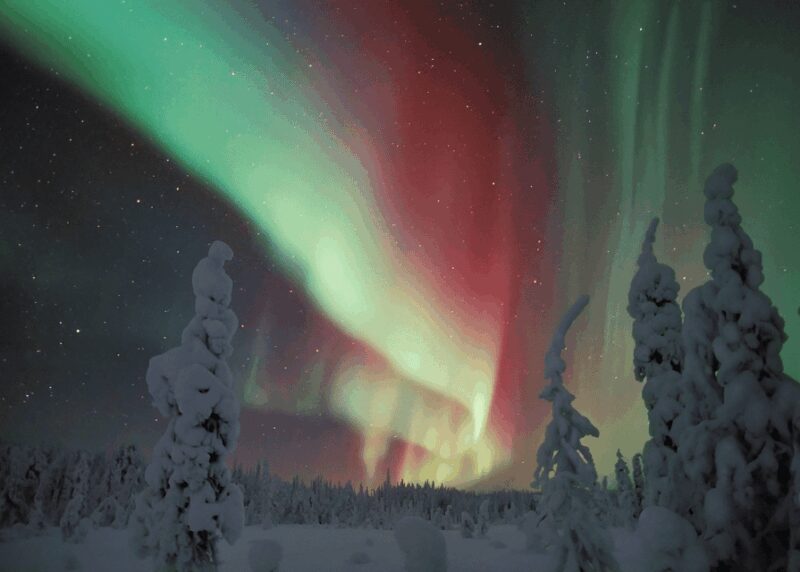 Rovaniemi: Northern Lights Snowmobile Safari with Campfire - Key Points