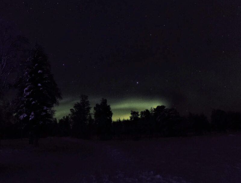 Rovaniemi: Northern Lights Snowmobile Safari with Campfire - What the Snowmobile Safari Includes