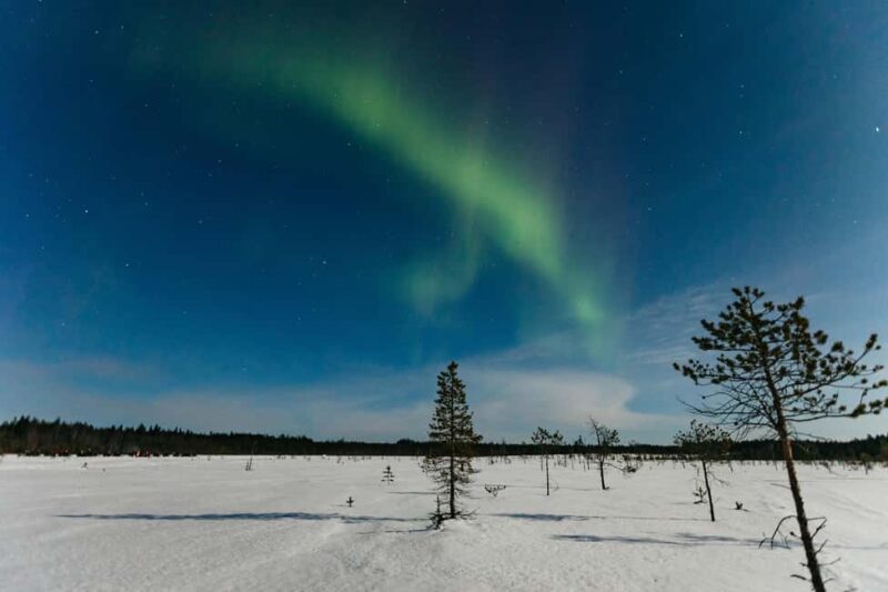 Rovaniemi: Northern Lights Snowmobile Sledge Ride - Rovaniemi: Northern Lights Snowmobile Sledge Ride – A Cozy Arctic Adventure