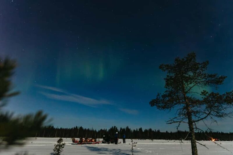 Rovaniemi: Northern Lights Snowmobile Sledge Ride - The Forest Stop with Hot Drinks and Cookies
