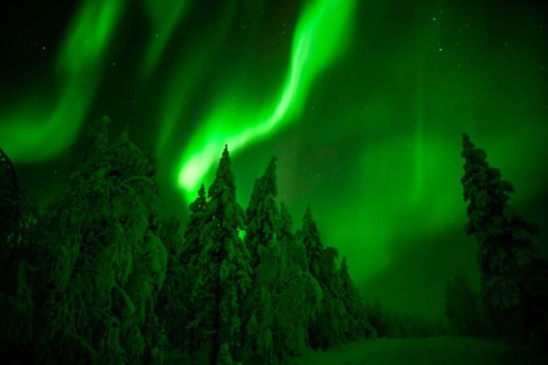 Rovaniemi: Northern Lights Snowmobile Tour - Safety and Practical Considerations
