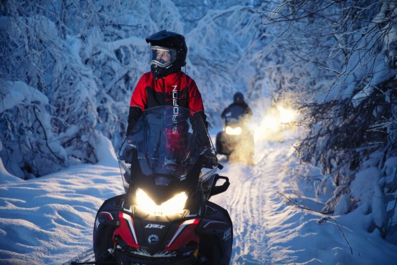 Rovaniemi: Northern Lights Snowmobile Tour - The Sum Up: A Thrilling Arctic Night Ride