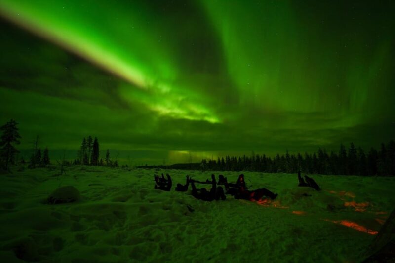 Rovaniemi: Northern Lights Tour at the Campfire - Discover the Northern Lights at Rovaniemi’s Private Forest Campfire