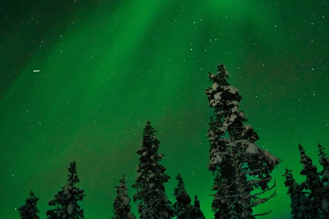 Rovaniemi: Northern Lights Tour - How the Northern Lights Tour Uses Local Expertise to Find the Aurora