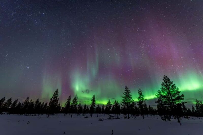 Rovaniemi: Northern Lights Tour with Aurora Guarantee - Expert Guides and Photography Support