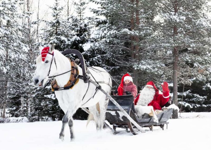 Rovaniemi: Northern Lights Tour with Finnhorses Sleigh Ride - Discovering the Rovaniemi Northern Lights Tour with Finnhorses
