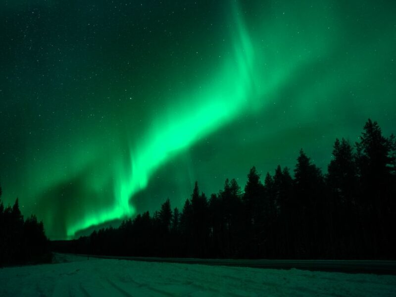 Rovaniemi: Northern Lights Tour with Guaranteed Sightings - The Northern Lights Tour in Rovaniemi: A Deep Dive