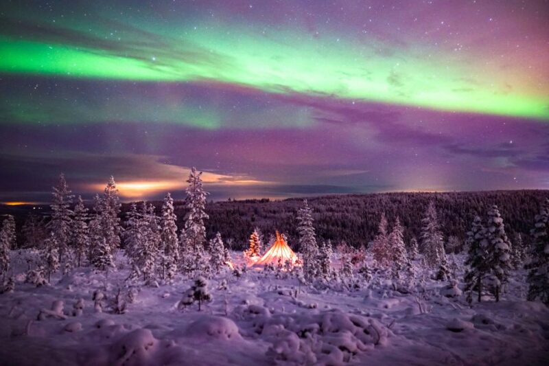 Rovaniemi: Northern Lights Wilderness Tour with Camera - Transportation and Small Group Experience