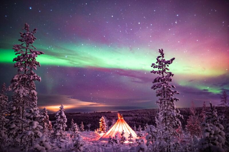 Rovaniemi: Northern Lights Wilderness Tour with Camera - The Role of the Professional Camera and Photos