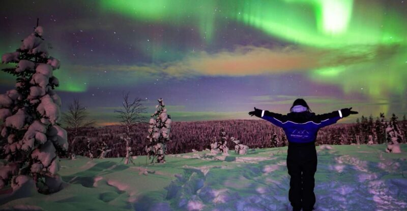 Rovaniemi: Northern Lights Wilderness Tour with Camera - Weather Conditions and Strategy for Aurora Viewing