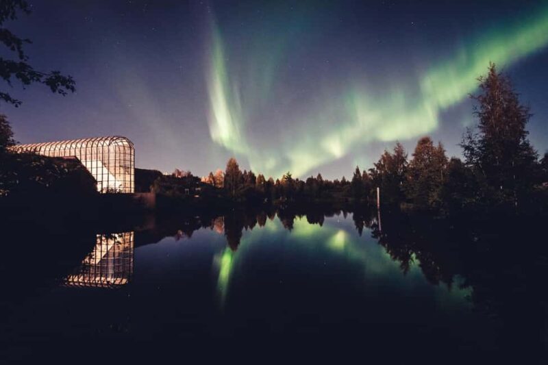 Rovaniemi: Northern Lights & Worlds Northernmost McDonalds - Comparing This Tour to Other Arctic Experiences