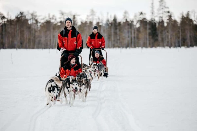 Rovaniemi: One Hour Husky Experience - Visiting the Husky Farm and Meeting the Dogs