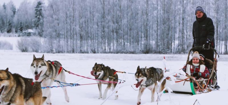 Rovaniemi: One Hour Husky Experience - Who Will Enjoy This Tour Most?