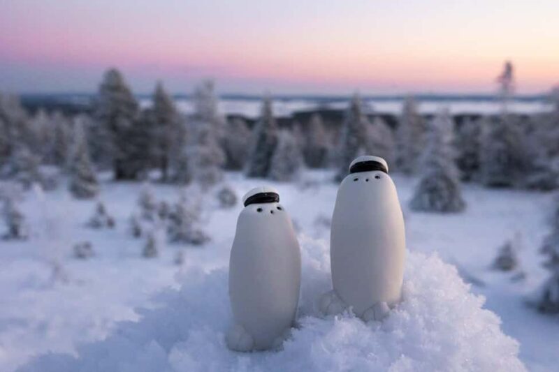 Rovaniemi: Posio Day Trip with Ceramics & Local Life - Scenic Drive to Posio Through Forests and Rivers