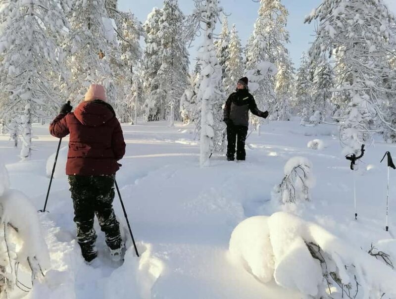 Rovaniemi: Private 3h Snowshoeing hike - Key Points