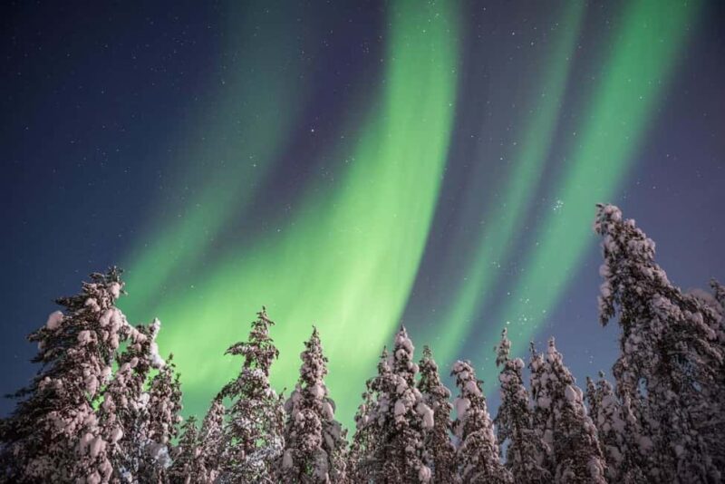 Rovaniemi: Private Aurora Adventure, Photos & Certificate - The Aurora Hunting Experience in Lapland