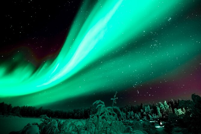Rovaniemi: Private Aurora Tour with Guaranteed Sightings - The Experience of a Private Aurora Chase in Rovaniemi