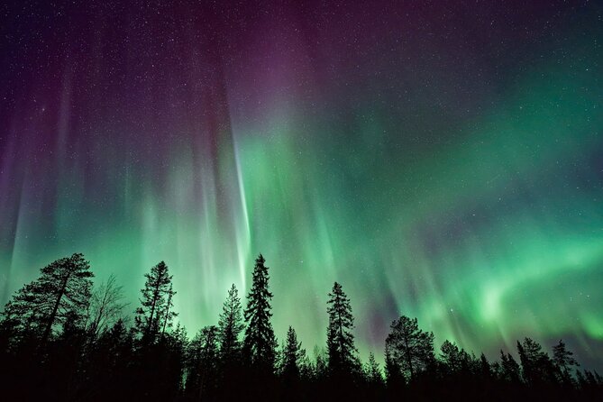 Rovaniemi: Private Aurora Tour with Guaranteed Sightings - Logistics: Meeting Point, Transport, and Group Size
