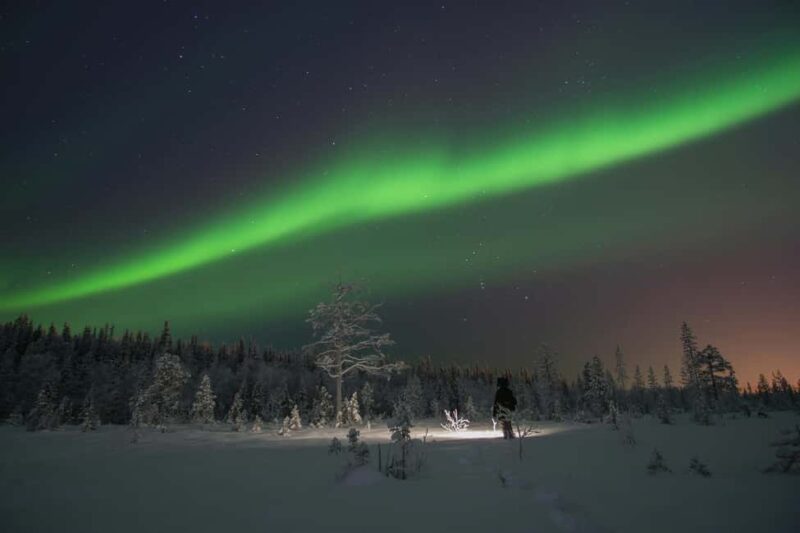 Rovaniemi: Private Northern Lights Tour - Personalized Aurora Hunting in a Private Vehicle