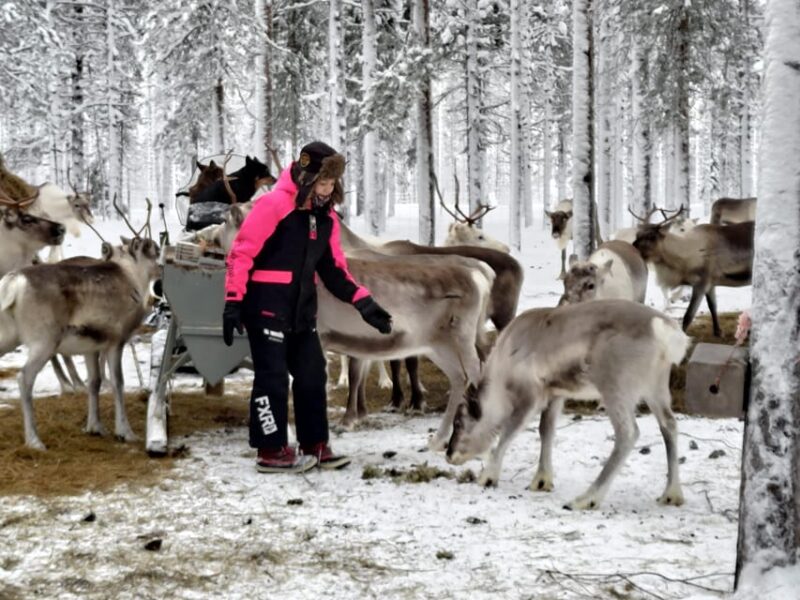 Rovaniemi: Private reindeer farm visit & culture experience - The Unique Appeal of This Reindeer Farm Visit