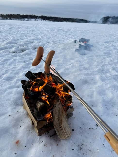 Rovaniemi: Private Snowmobile Trip With Local Guide - Key Points