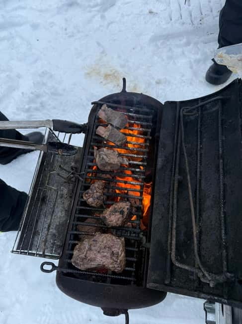 Rovaniemi: Private Snowmobile Trip With Local Guide - Rovaniemi Snowmobile Tour Starts with Convenient Pickup Options