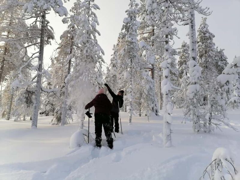 Rovaniemi: Private Snowshoeing and Ice Fishing Tour - Ice Fishing on a Frozen Arctic Lake