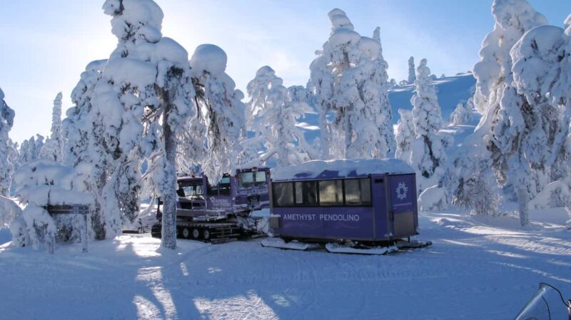 Rovaniemi: Pyhä-Luosto National Park Amethyst Mining Tour - The Experience of Digging for Your Own Amethyst