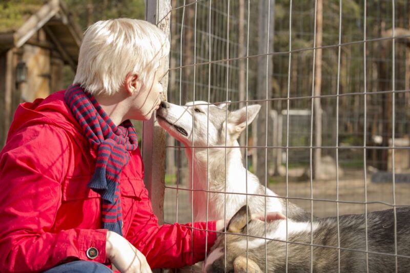 Rovaniemi: Quad Bike Safari, Reindeer & Husky Farm Visit - Key Points