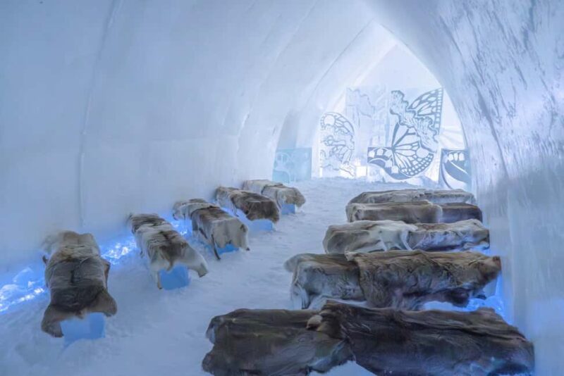 Rovaniemi: Ranua Zoo and Arctic Snow Hotel Private Tour - Discovering the Arctic Snow Hotel’s Icy Marvels