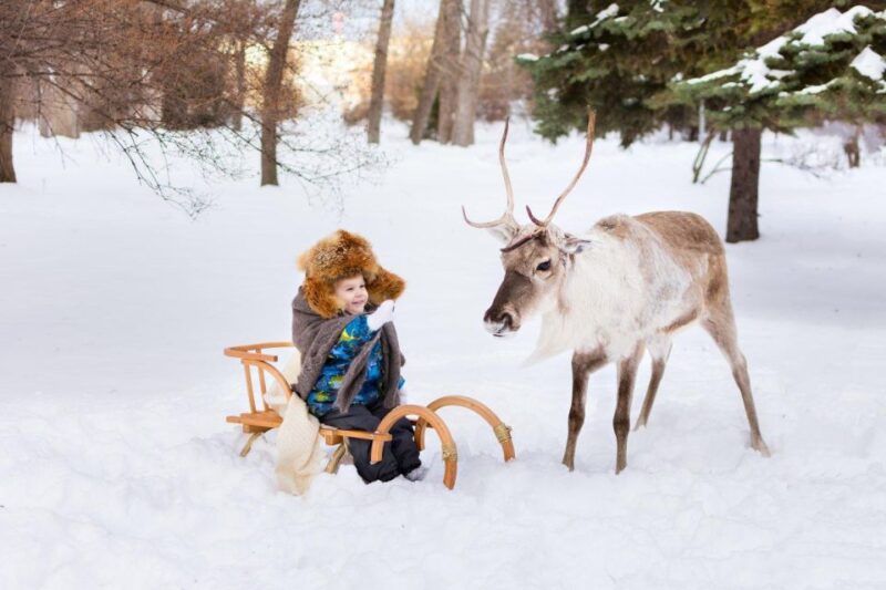 Rovaniemi: Reindeer Farm Tour with Sledge Ride & Pickup - Sledge Riding: A Classic Lapland Activity