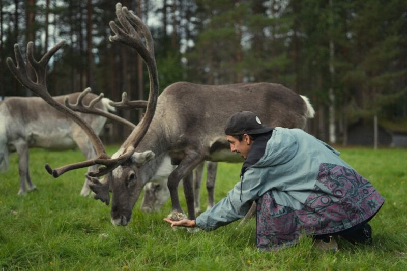 Rovaniemi: Reindeer Farm Visit with Photographer - Logistics: Pickup, Duration, and Small Group Feel