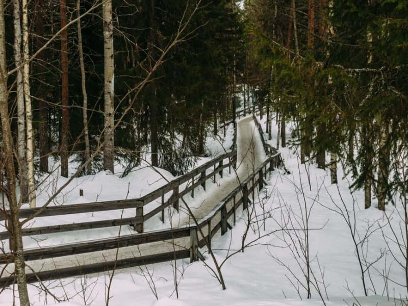 Rovaniemi: Reindeer Farm Visit with Sleigh Ride & Pickup - Rovaniemi: Reindeer Farm Visit with Sleigh Ride & Pickup