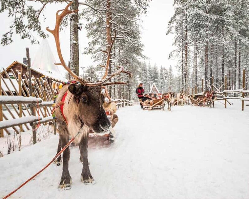 Rovaniemi: Reindeer & Husky Ride with Santa Claus Village - Comparing This Tour with Similar Arctic Experiences