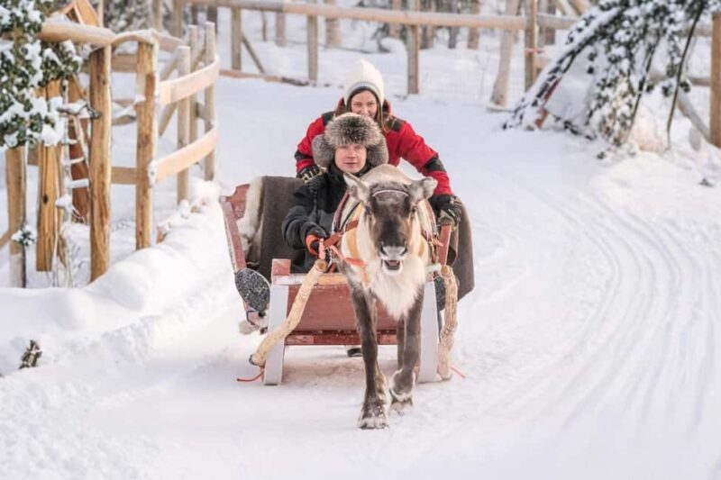 Rovaniemi: Reindeer Safari at 200-Year-Old Farm & Sled Ride - Key Points