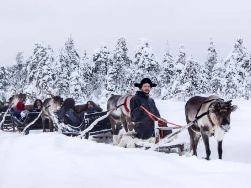 Rovaniemi: Reindeer Safari at 200-Year-Old Farm & Sled Ride - Practical Details: Transport, Group Size, and Accessibility