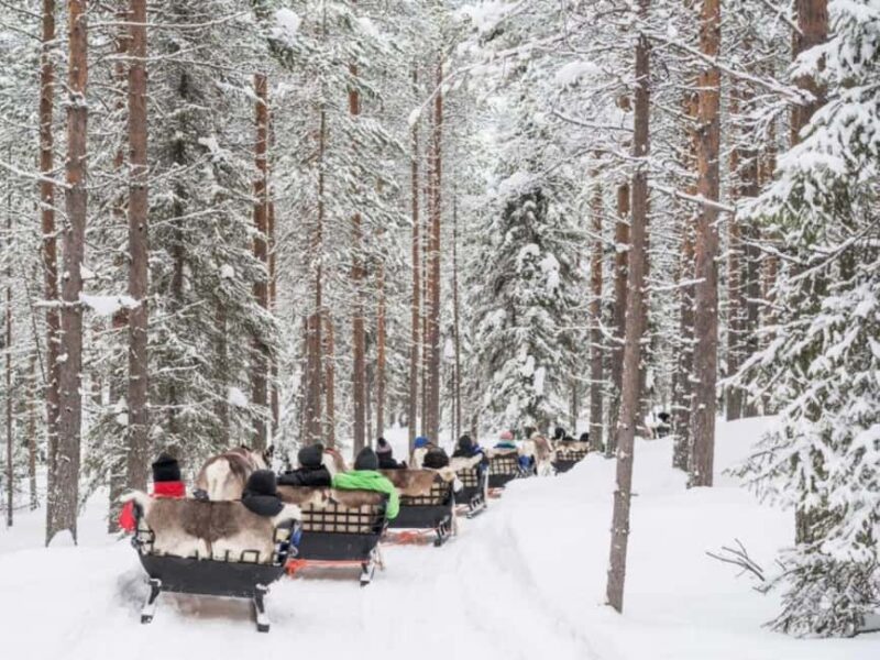 Rovaniemi: Reindeer Safari at 200-Year-Old Farm & Sled Ride - What Makes This Tour Stand Out in Rovaniemi
