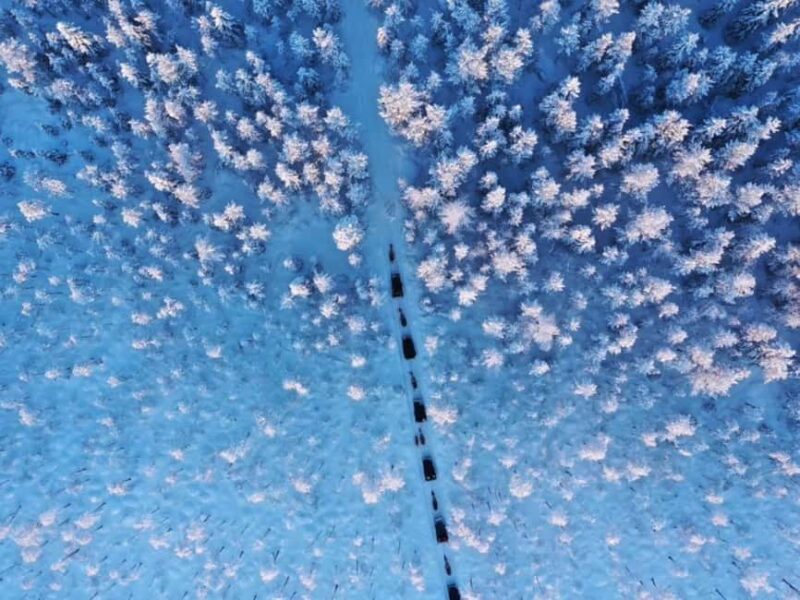 Rovaniemi: Reindeer Safari at 200-Year-Old Farm & Sled Ride - Authentic Lapland Culture and Lasting Memories