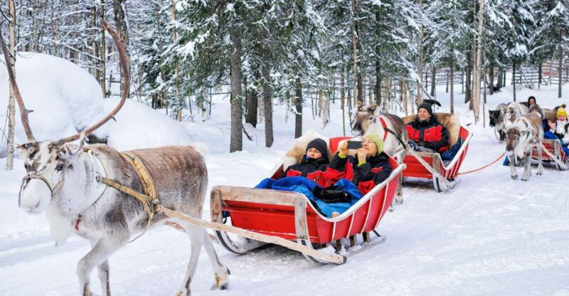 Rovaniemi: Reindeer Sleigh Ride with Hot Drink and Cookies - Discover the Authentic Reindeer Experience in Rovaniemi