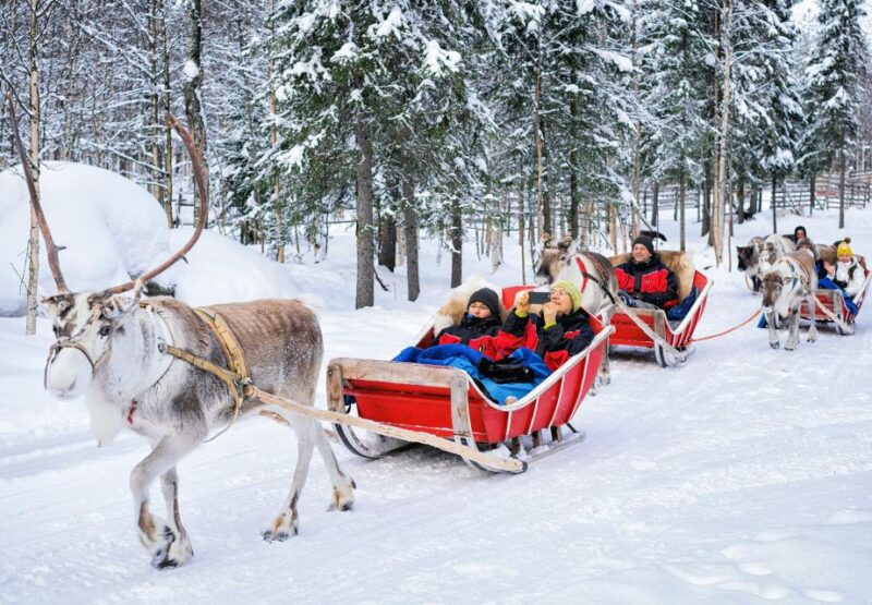 Rovaniemi: Reindeer Sleigh Ride with Hot Drink and Cookies - The Personal Touch: Guides and Atmosphere