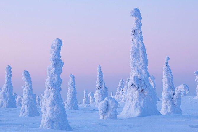 Rovaniemi: Riisitunturi Full-Day Wilderness Adventure & BBQ - Highlights of the Tykky Snow Sculptures and Arctic Views