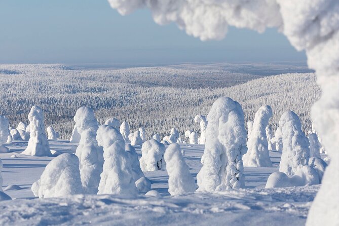 Rovaniemi: Riisitunturi Full-Day Wilderness Adventure & BBQ - Final Thoughts on the Riisitunturi Wilderness Experience