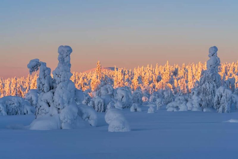 Rovaniemi: Riisitunturi Guided Hike with Photography - Key Points