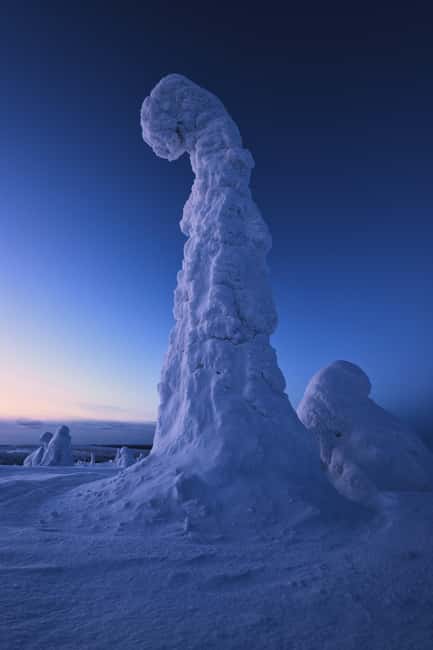 Rovaniemi: Riisitunturi Hike with Local Guide and Photograph - Key Points