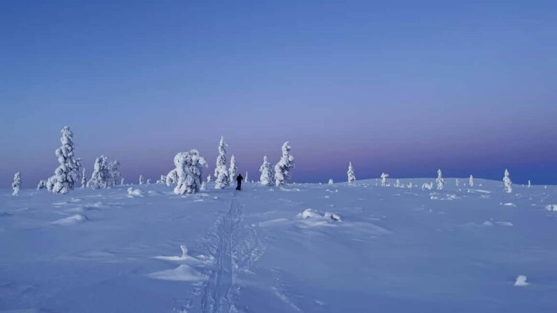Rovaniemi: Riisitunturi Hike with Local Guide and Photograph - Exploring Riisitunturis Frozen Forests and Open Views