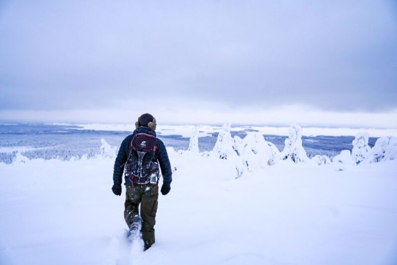 Rovaniemi: Riisitunturi National Park Day Trip with Lunch - Building Fires and Tasting Finnish Campfire Snacks