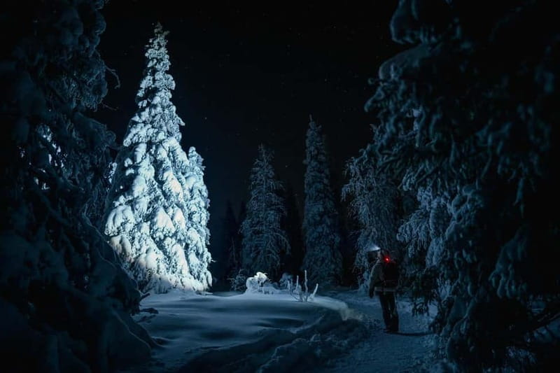 Rovaniemi: Riisitunturi National Park Night Photography Tour - Key Points